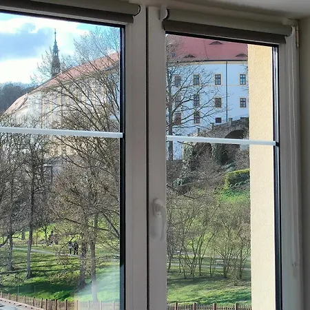 Bohemica Bellavista * Decin
