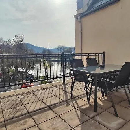 Bohemica Bellavista * Decin