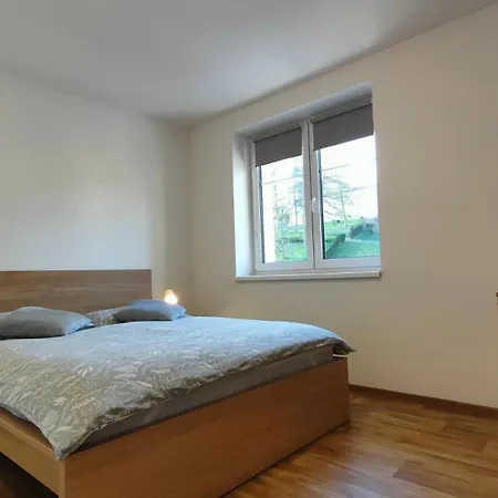 Bohemica Bellavista *