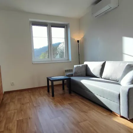 Bohemica Bellavista 公寓 德辛